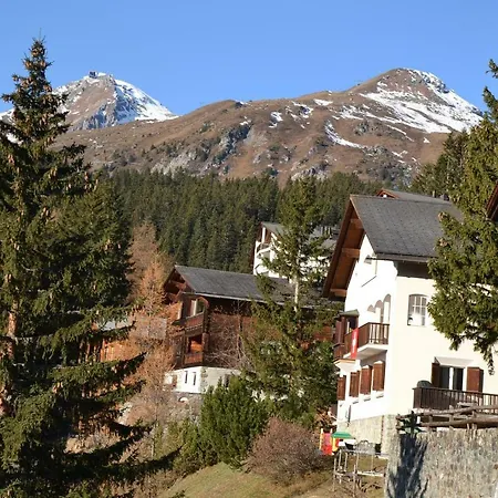 Bisang L アローザ